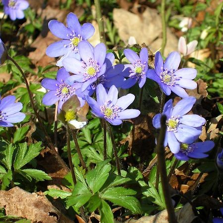 Wismens Natur & Fiske Krogsered 외부 사진