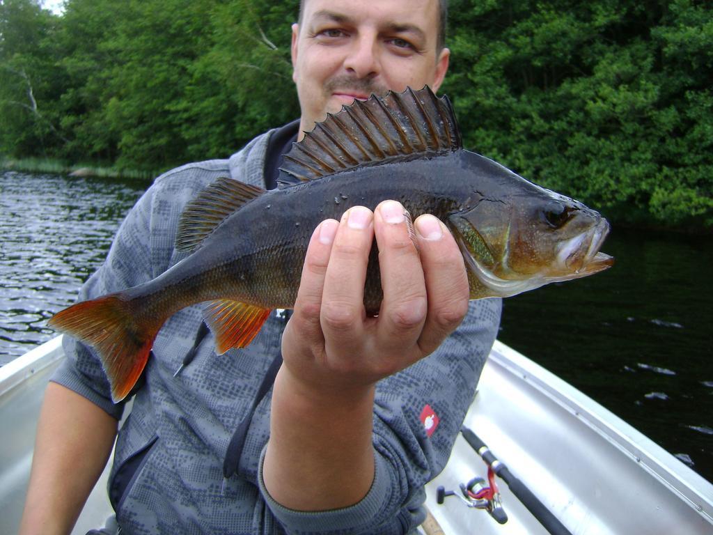 Wismens Natur & Fiske Krogsered 외부 사진
