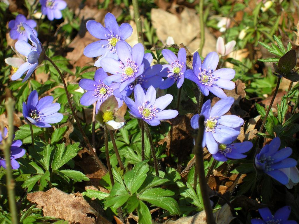 Wismens Natur & Fiske Krogsered 외부 사진