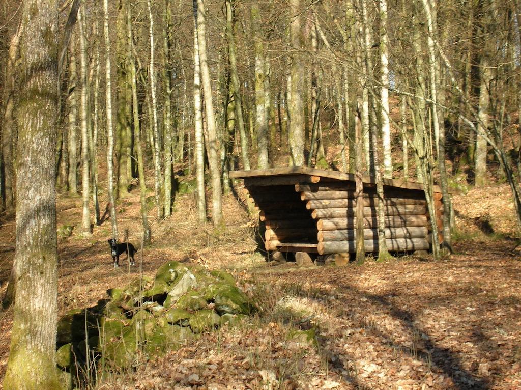 Wismens Natur & Fiske Krogsered 외부 사진