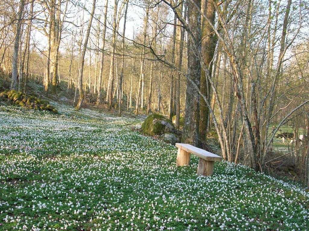 Wismens Natur & Fiske Krogsered 외부 사진