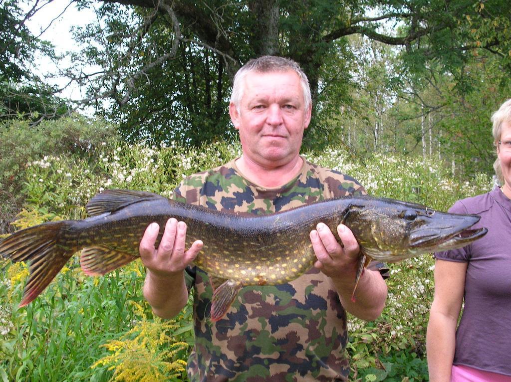Wismens Natur & Fiske Krogsered 외부 사진